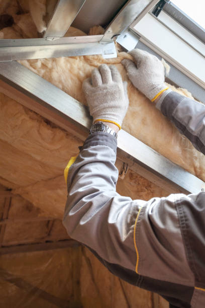 Best Insulation Removal  in Scotchtown, NY