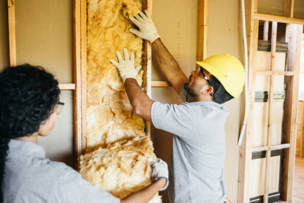 Best Blown-in Insulation  in Scotchtown, NY